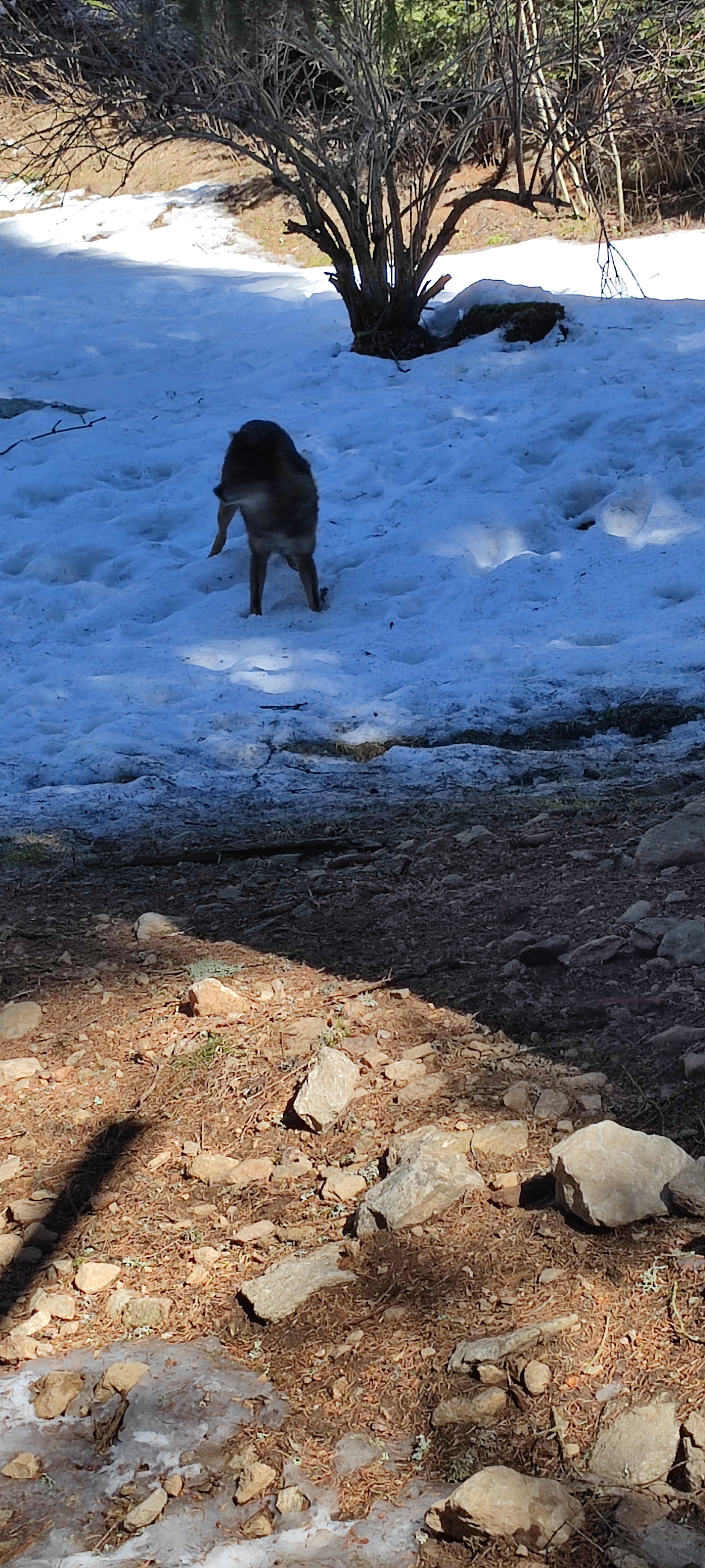 Photo n° 3 de l'avis de Aurelie. fait le 18/03/2023 à 04:16