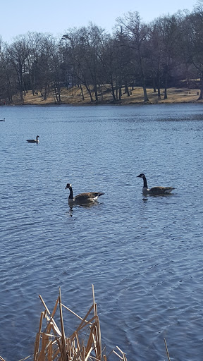 Park «Parks Lake», reviews and photos, Academy St, Rockaway, NJ 07866, USA