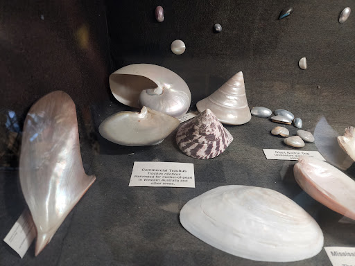 Cafe «Port Gamble General Store and Cafe», reviews and photos, 32400 N Rainier Ave, Port Gamble, WA 98364, USA