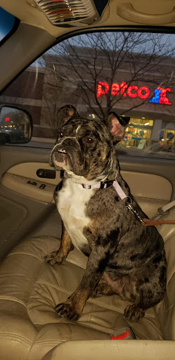 Pet Supply Store «Petco», reviews and photos, 369 S Weber Rd, Romeoville, IL 60446, USA