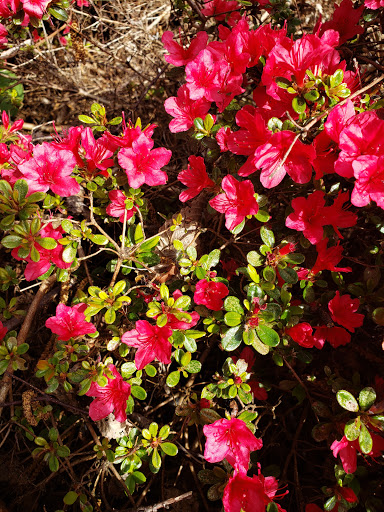 Park «Ferguson Park», reviews and photos, 1330 Ferguson Park Rd, Snohomish, WA 98290, USA