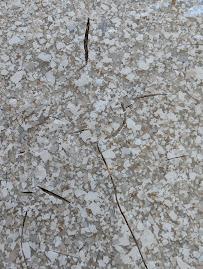 Armadillo Concrete Resurfacing - Photo 9 - Car repair in Pasadena, CA, Pasadena