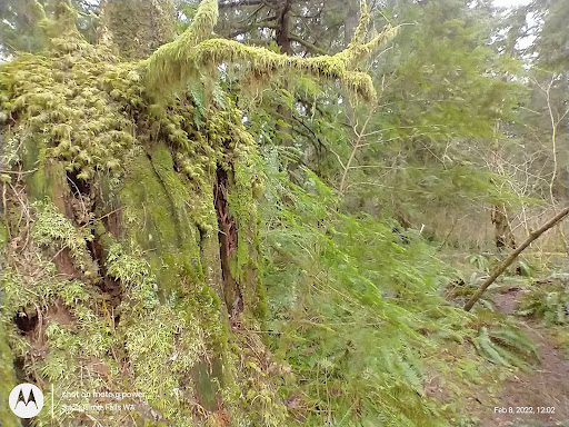 Tourist Attraction «Preston-Snoqualmie Trail Head parking», reviews and photos, Preston-Snoqualmie Trail, Fall City, WA 98024, USA