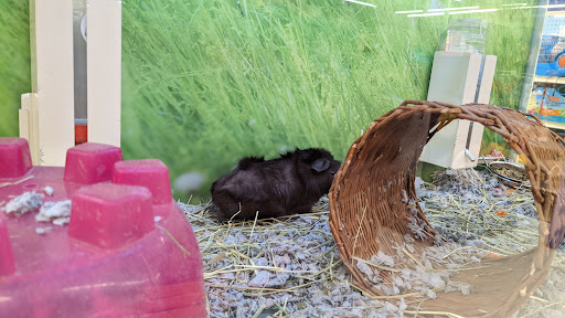 Pet Supply Store «PetSmart», reviews and photos, 1070 Iyannough Rd, Hyannis, MA 02601, USA