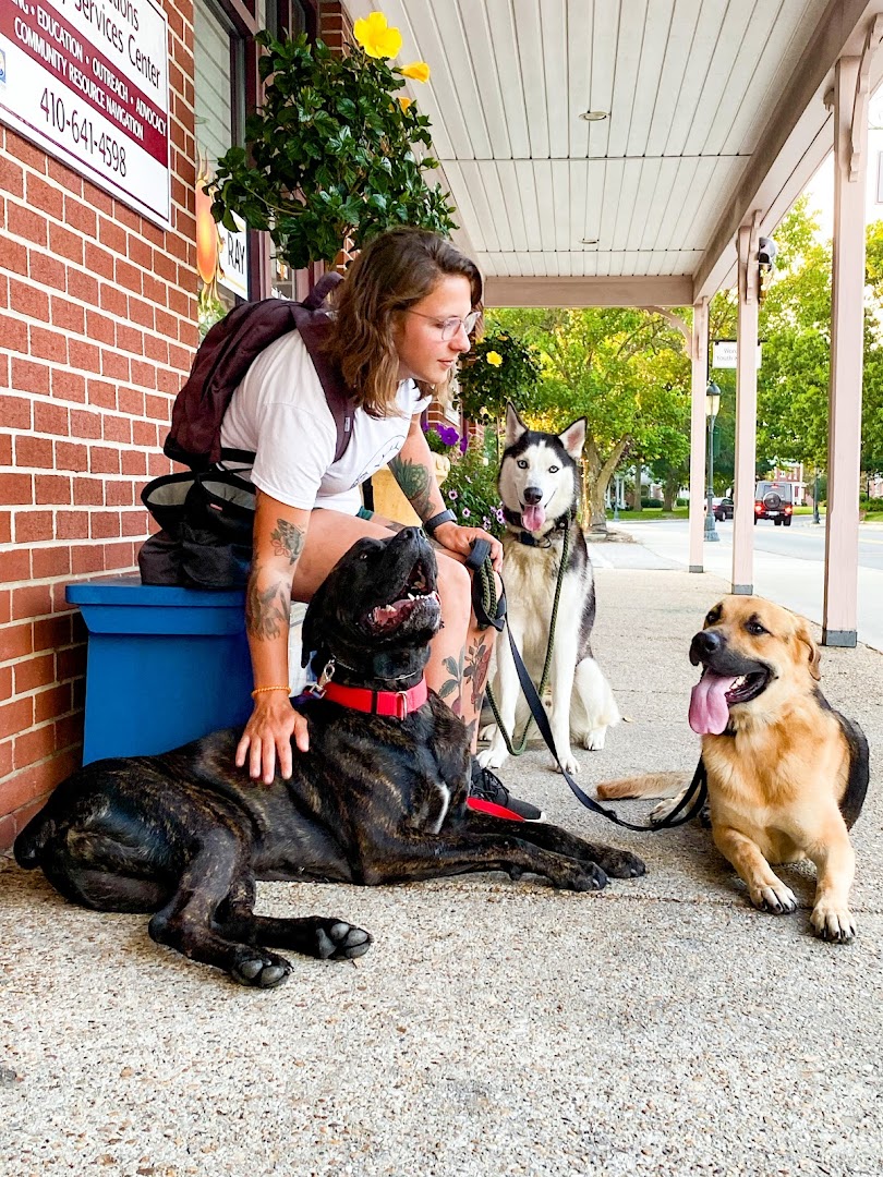 Shore Dogs Canine Training