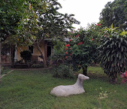Efata Homestay photo