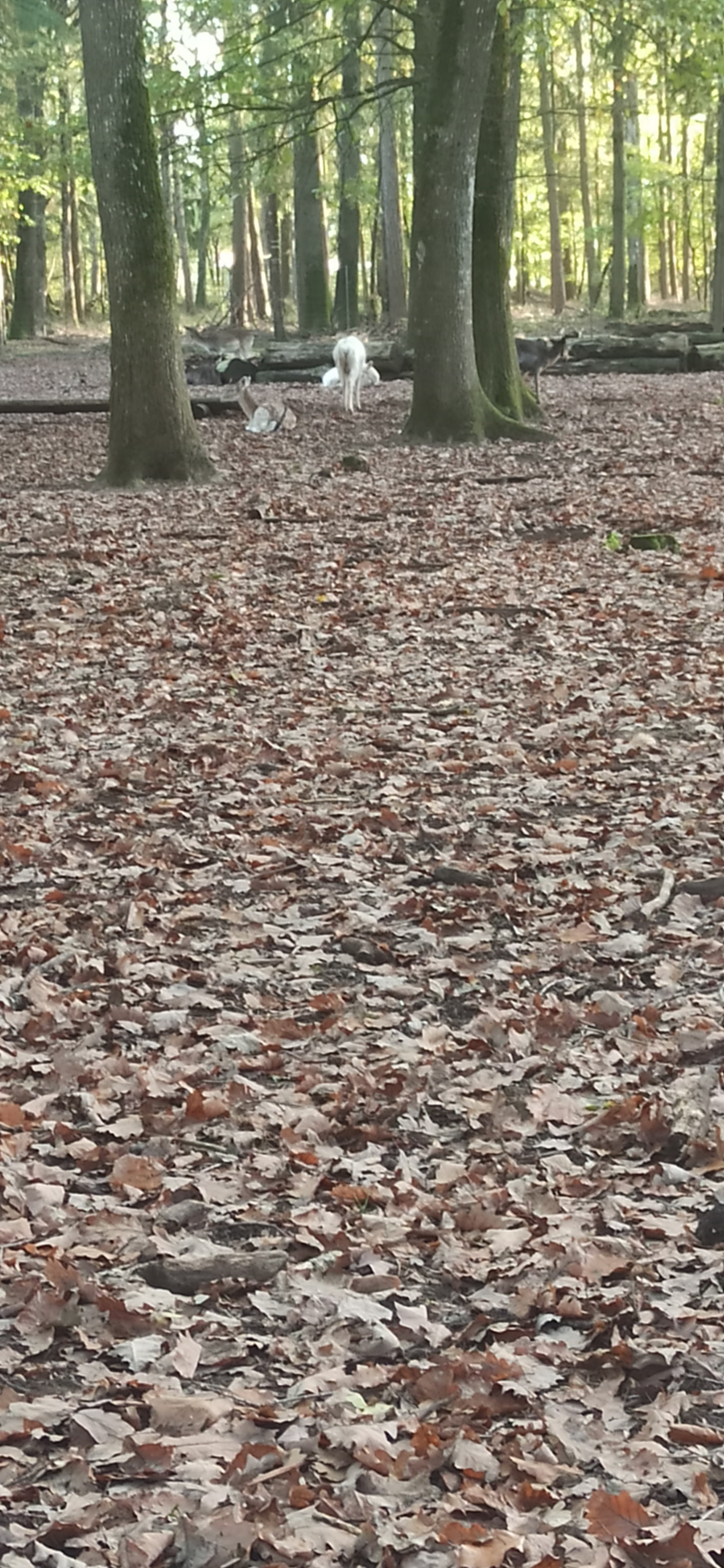 Photo n° 3 de l'avis de E.- fait le 10/11/2022 à 21:52