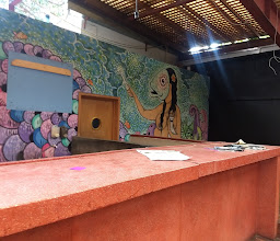 Tortas Locas Hipocampo photo