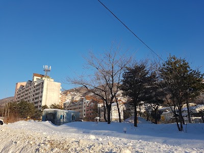 Photos of 알프스리조트콘도