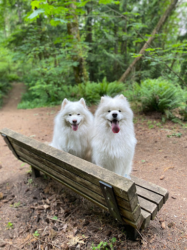 Pet Supply Store «PetSmart», reviews and photos, 100 108th Ave NE, Bellevue, WA 98004, USA