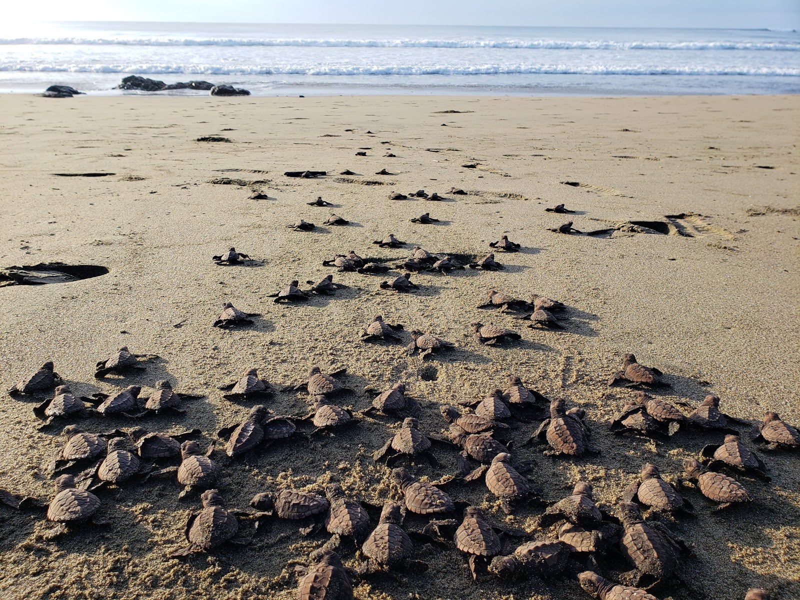 Foto von Panamaes Beach mit lange bucht