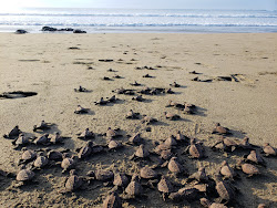 Foto von Panamaes Beach mit lange bucht