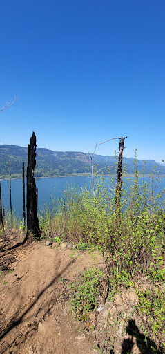 Tourist Attraction «Wahkeena Falls», reviews and photos, Wahkeena Trail #420, Corbett, OR 97019, USA