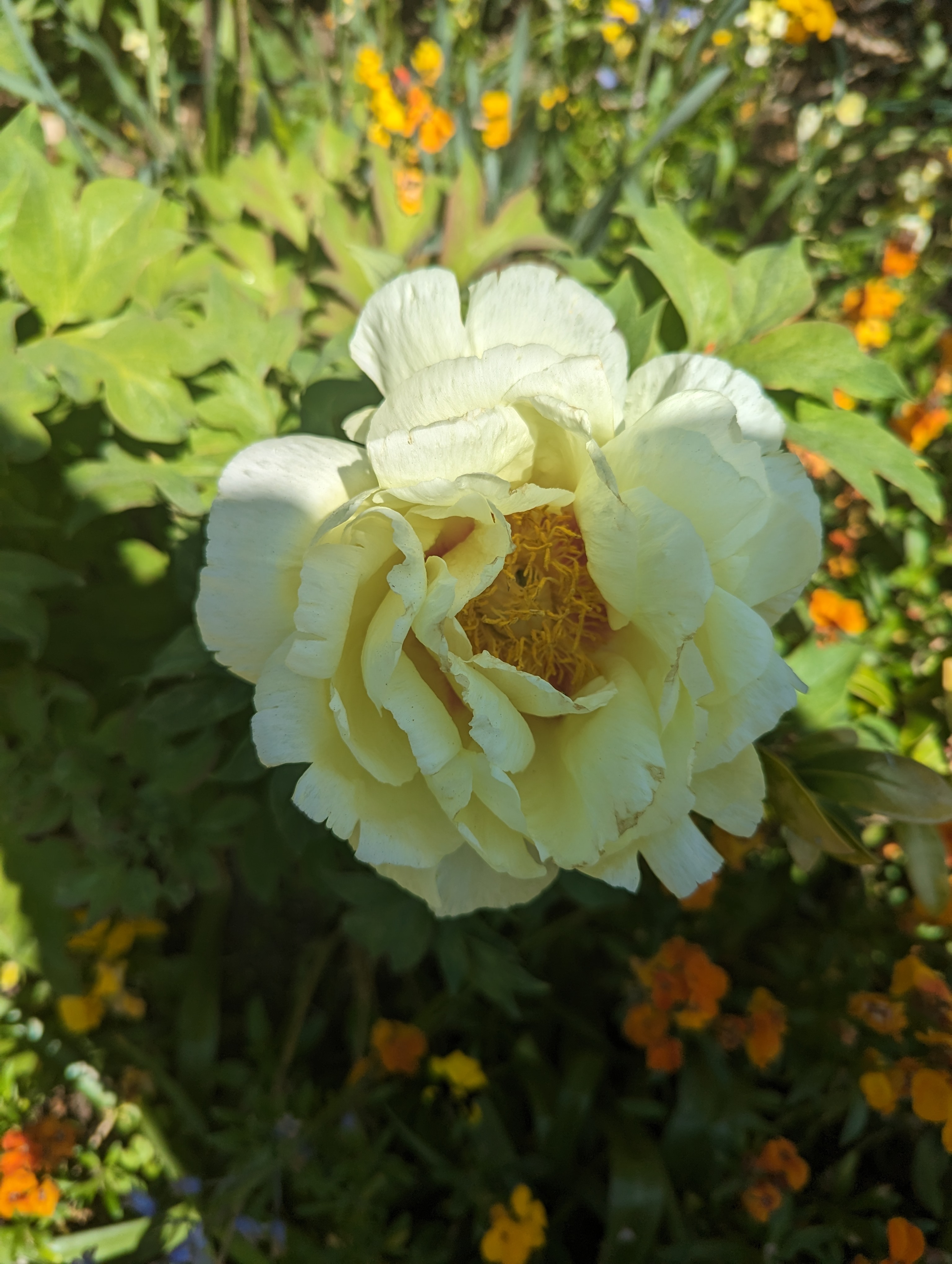 Photo n° 2 de l'avis de Nicolas.. fait le 04/05/2023 à 11:14