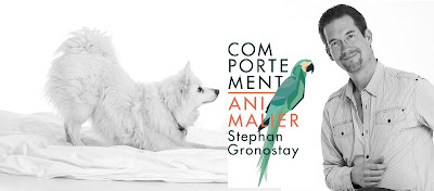 Vétérinaire à domicile Dr. Gronostay, comportementaliste à La Madeleine