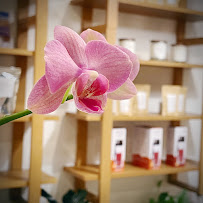 Pulling Down the Moon - Chicago - Photo 7 - Car repair in Chicago, IL, Chicago