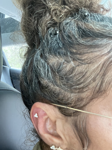 Explore south carolina tattoo ideas, creative tattoo ideas in Dallas, available at Wildlike Dallas