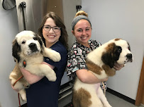 Ridgewood Animal Hospital - Photo 4 - Car repair in Forest, VA, Lynchburg