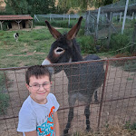 Photo n°11 de l'avis de monica.e fait le 02/07/2022 à 10:15 sur le  Valonquinta à Roios