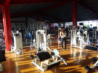 Workout Fitness Center - San Rafael - Miguel Flores 15, San Rafael, 55719 San Francisco Coacalco, Méx., Mexico
