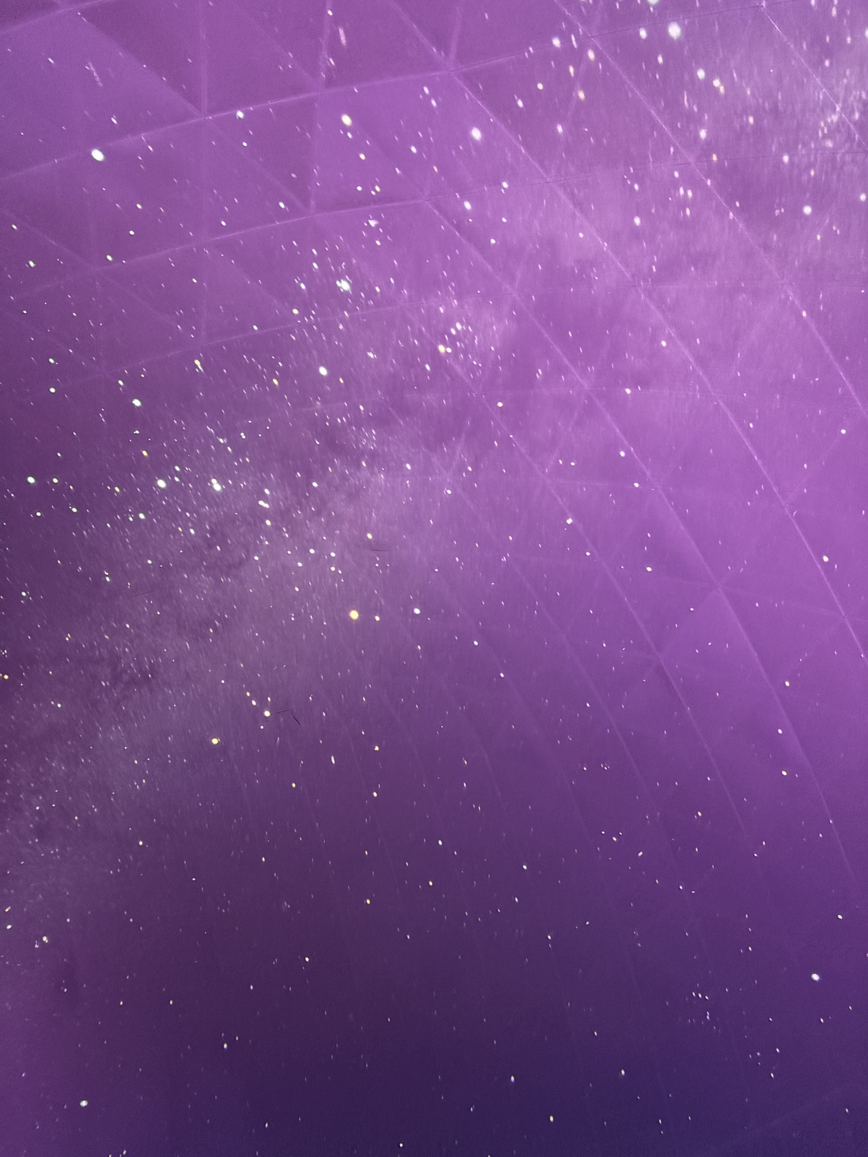 Photo n° 2 de l'avis de Vanessa. fait le 30/01/2024 à 20:26