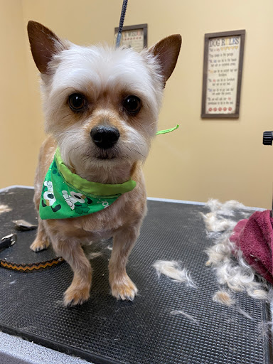 Pet Store «Healthy Pets Mountain West», reviews and photos, 2352 Fort Union Blvd, Cottonwood Heights, UT 84121, USA