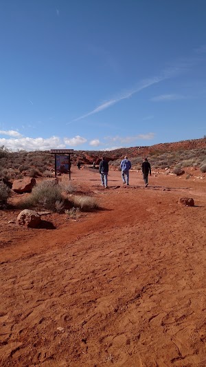 Warner Valley Dinosaur Track Site - photo 87