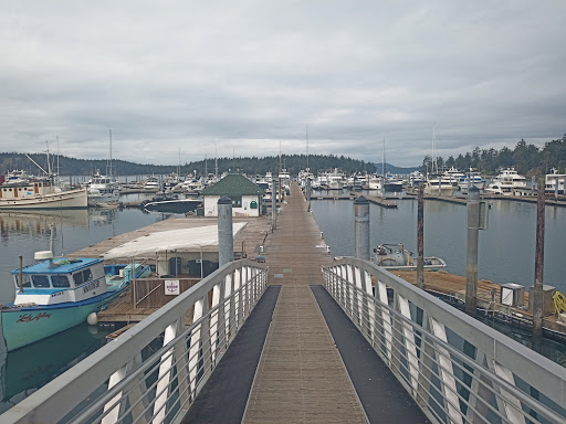 Grocery Store «Roche Harbor Grocery Store», reviews and photos, 248 Reuben Memorial Dr, Friday Harbor, WA 98250, USA