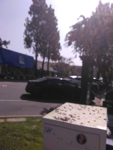 The Coffee Bean & Tea Leaf image