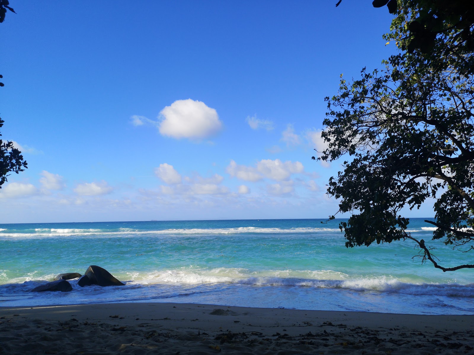 Foto van Anse Etoile Beach wilde omgeving