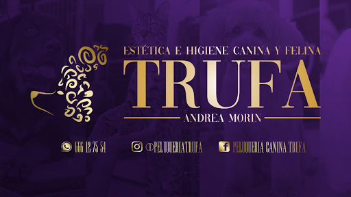 TRUFA peluquería canina y felina