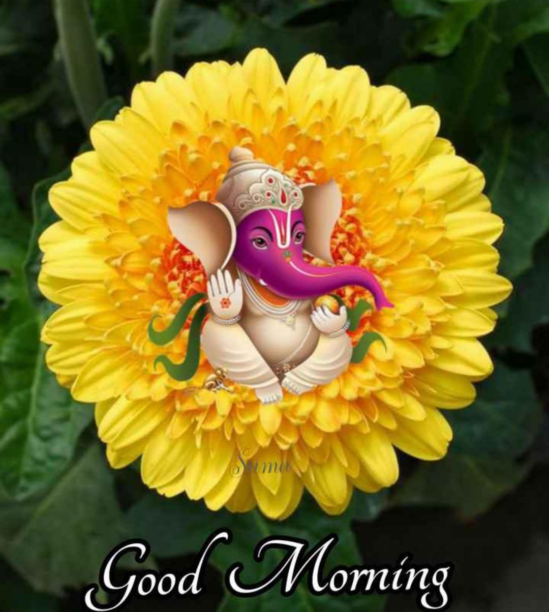 ಪಾಪ್ಪಣಿ ಶಾಪ್
