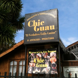 Chic Guau - San Pedro de La Paz