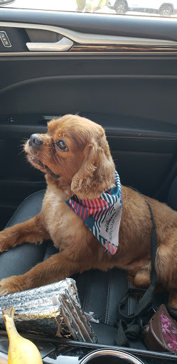 Pet Supply Store «PetSmart», reviews and photos, 6535 Frontier Dr, Springfield, VA 22150, USA