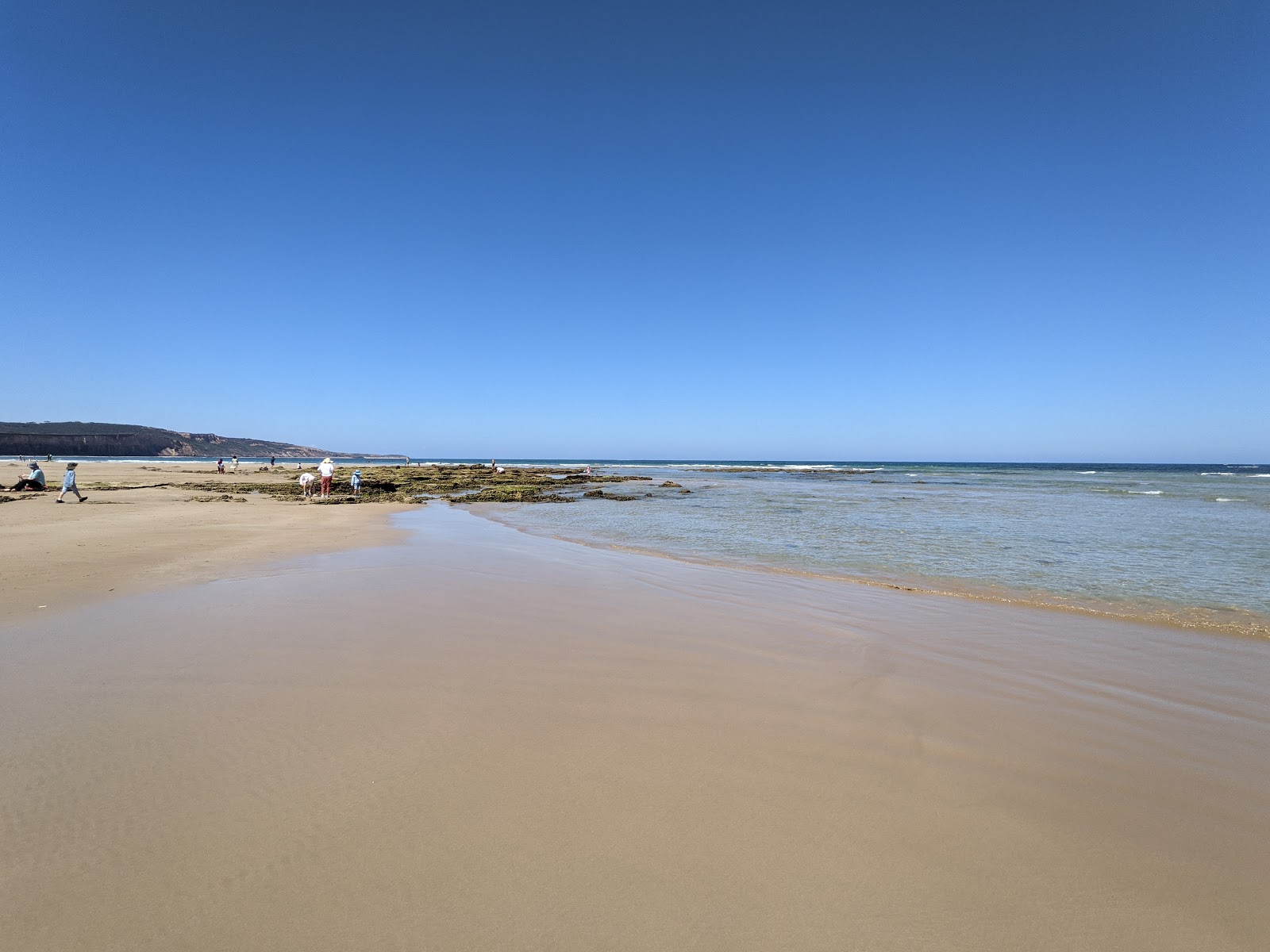 Foto av Anglesea Beach med turkos rent vatten yta