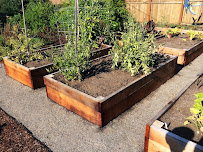 Green Acres Landscape, Inc. - Photo 8 - Car repair in Salem, OR, Salem