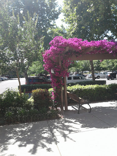 Pet Supply Store «PetSmart», reviews and photos, 1621 E Monte Vista Ave b, Vacaville, CA 95688, USA