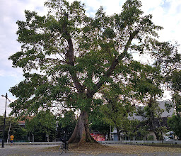 Parkir Dalem Joyokusuman photo