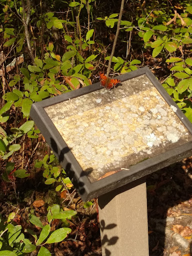 Nature Preserve «Eldora Nature Preserve», reviews and photos, 2350 NJ-47, Delmont, NJ 08314, USA