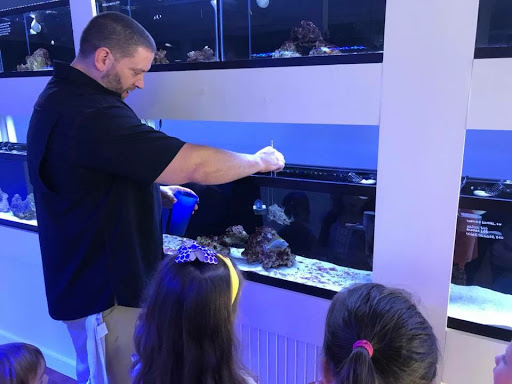 Tropical Fish Store «Classic City Aquariums», reviews and photos, 1260 Mars Hill Rd, Watkinsville, GA 30677, USA