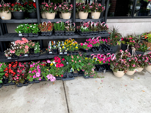 Grocery Store «Kroger», reviews and photos, 3975 Powell Rd, Powell, OH 43065, USA