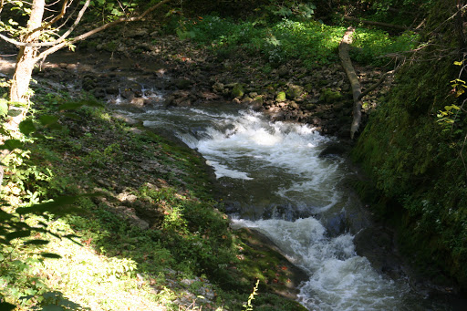 Nature Preserve «Caesar Creek Gorge State Nature Preserve», reviews and photos, 4080 Corwin Rd, Oregonia, OH 45054, USA