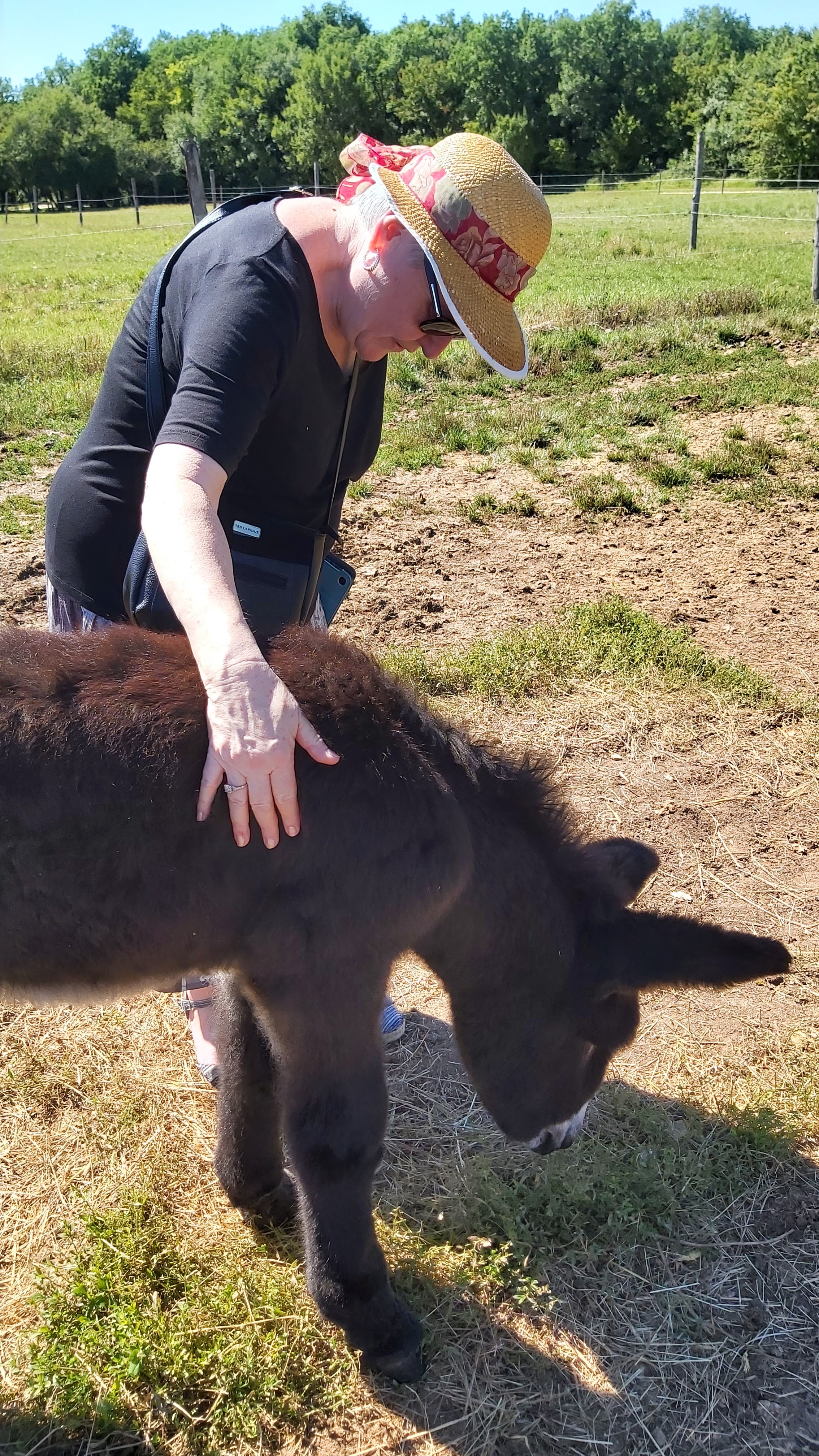 Photo n° 1 de l'avis de Christine.E fait le 02/07/2022 à 18:23