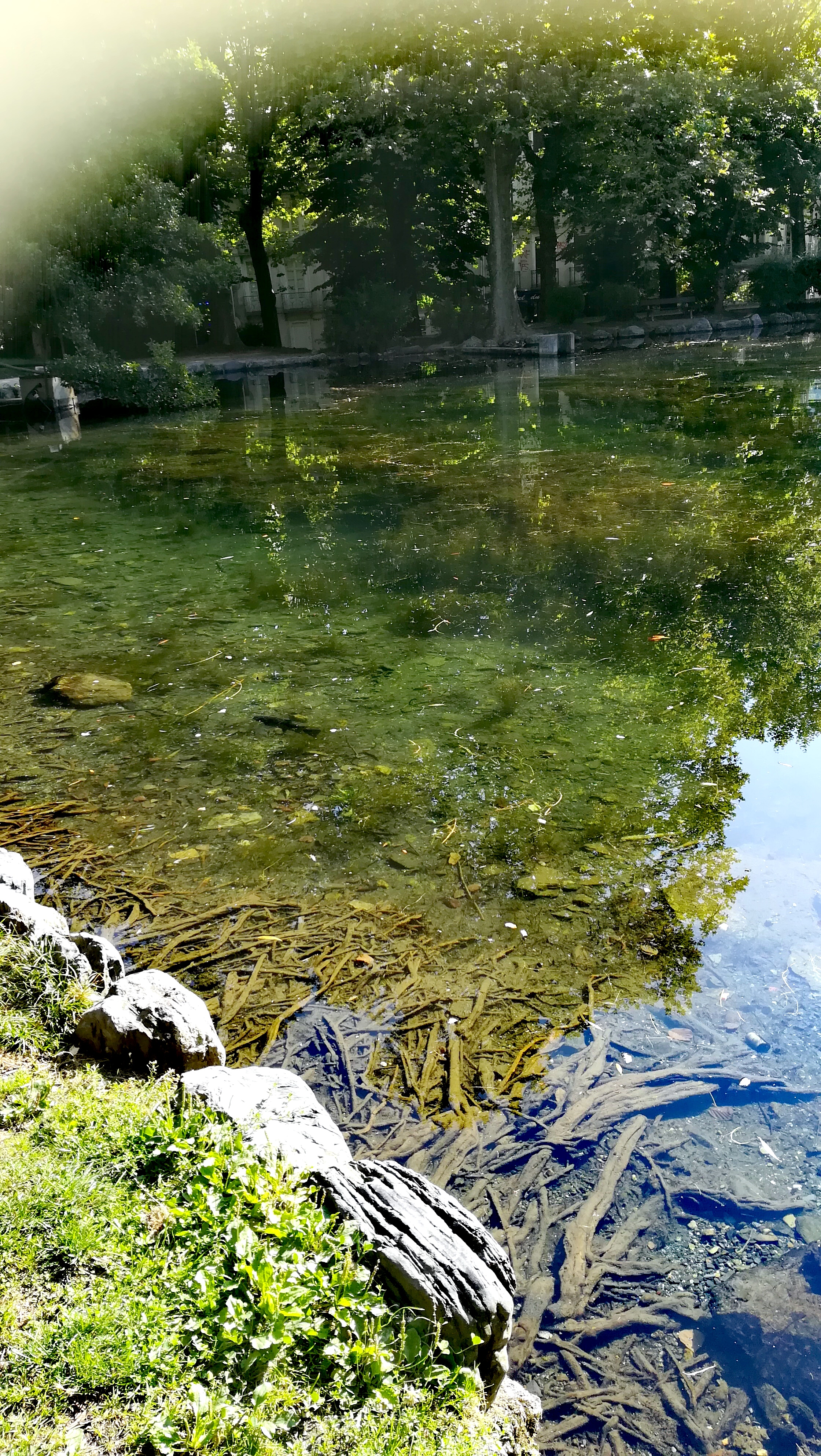 Photo n° 1 de l'avis de NOUNOU.7 fait le 01/09/2019 à 13:27