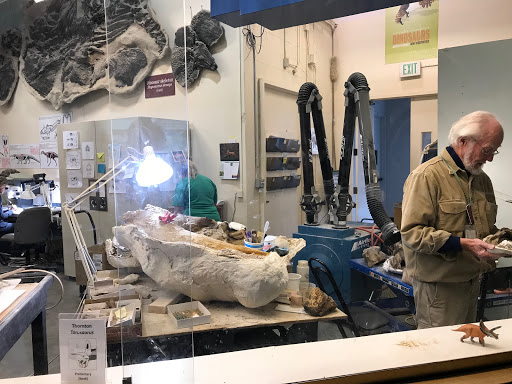 Natural History Museum «Denver Museum of Nature & Science», reviews and photos, 2001 Colorado Blvd, Denver, CO 80205, USA