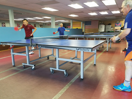 Westminster Table Tennis