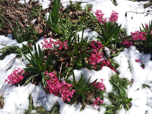 Performing Arts Theater «Prairie Center For the Arts», reviews and photos, 201 Schaumburg Ct, Schaumburg, IL 60193, USA