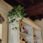 Photo n°4 de l'avis de Anna.e fait le 09/08/2020 à 14:40 sur le  Ristorante la Torre à Loro Ciuffenna