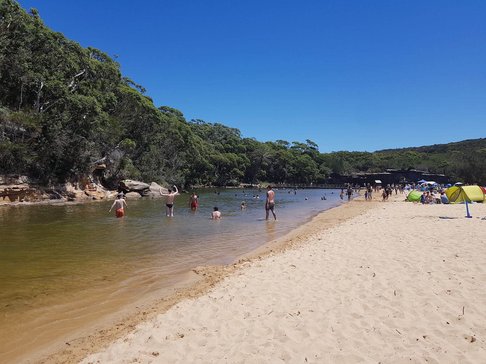 Zdjęcie Wattamolla Beach - popularne miejsce wśród znawców relaksu