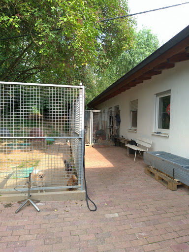 Tierheim Ottersweier unter Ottersweier, Baden Württemberg